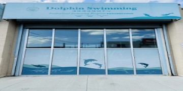 Dolphin Swimming Flagship Pool