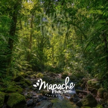 Mapache Tours Costa Rica