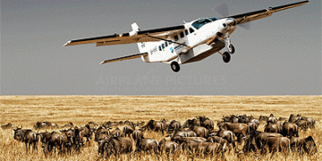 Golden Trips Tanzania