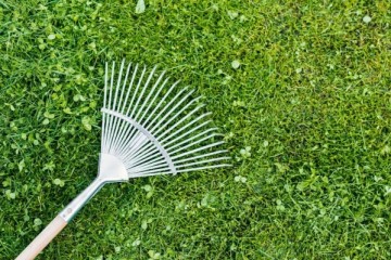 Paramount Gardening