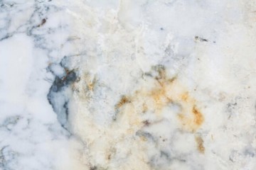 Venetian Plaster Ltd