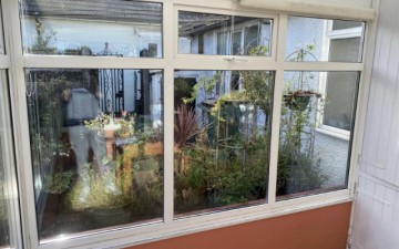 The Window Surgery