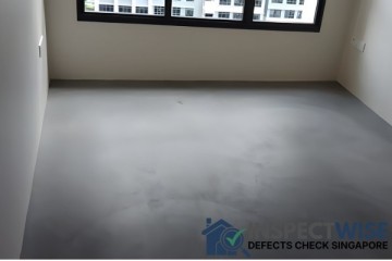 InspectWise Defects Check Singapore